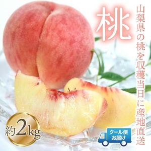 【2026年発送★先行予約】桃 2kg　株式会社華栄牛産 179-004-26y