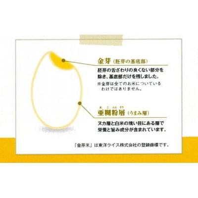 ふるさと納税 安来市 BG無洗米　金芽米つや姫　5kg |  | 02