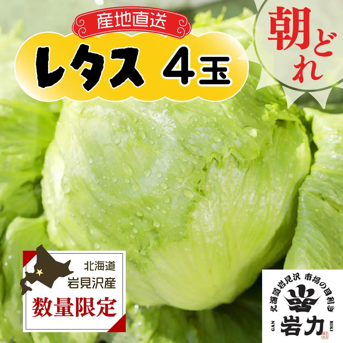 市場の目利き レタス4玉