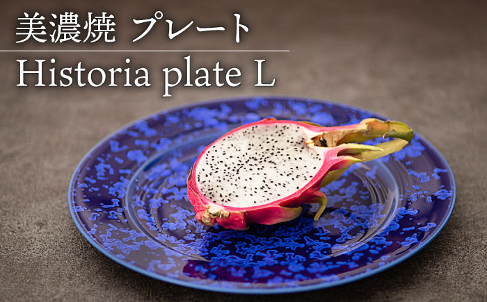 
【美濃焼】 プレートL Historia plate L 食器 器 うつわ 多治見市/柴田商店 [TAL066]
