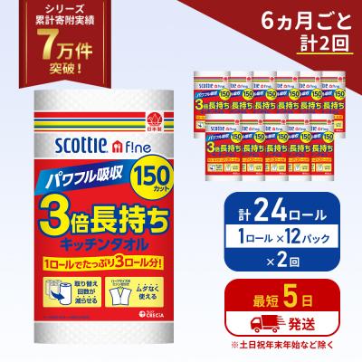 ふるさと納税 岩沼市 定期便 キッチンペーパー 12P入 キッチンタオル スコッティ《計2回》[No.5704-1094]