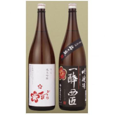 ふるさと納税 佐世保市 【毎月定期便】フルーティーな純米吟醸・吟醸酒　一升瓶プチ贅沢セット【梅ヶ枝酒造】全6回