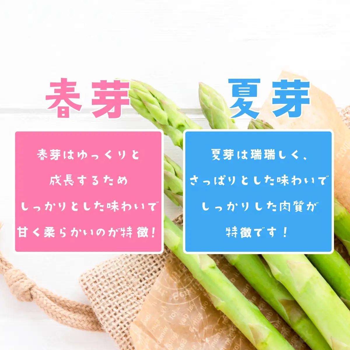 アスパラガス 1kg L～2Lサイズ 朝採り アスパラガス 夏芽 【先行受付】 【26年6月中旬～9月発送】