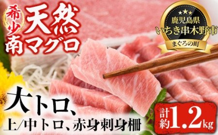 刺身用マグロをご自宅で！天然南マグロ刺身極上セット 刺身用マグロ大トロ1×本 刺身用マグロ上トロ×1本他 約1.2kg【E-074H】