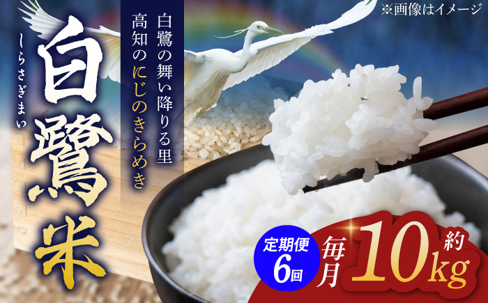 
            【6回定期便】 新米 R7年度産 農薬節減！ 白鷺米 にじのきらめき 各約10kg 合計約60kg / 高知 米 お米 精米 　【津ノ宮農園】 [ATBV009]
          