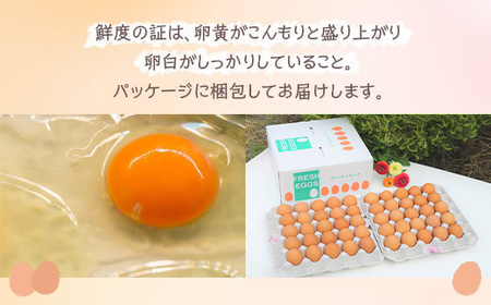 小久保ファーム　濃厚卵黄　産みたてたまご　赤玉50個入り（M玉） _EI02