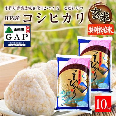 ふるさと納税 酒田市 山形県酒田市　コシヒカリ10kg　玄米　令和8年産 農家直送