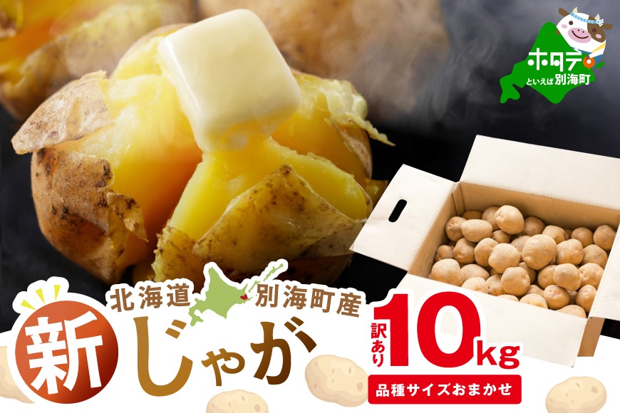 2025年10～12月発送 北海道別海町産 じゃがいも10kg (１種おまかせ) 【JV0000001】 (きたあかり、ワセシロ、男爵、メークイーン、レッドムーン）