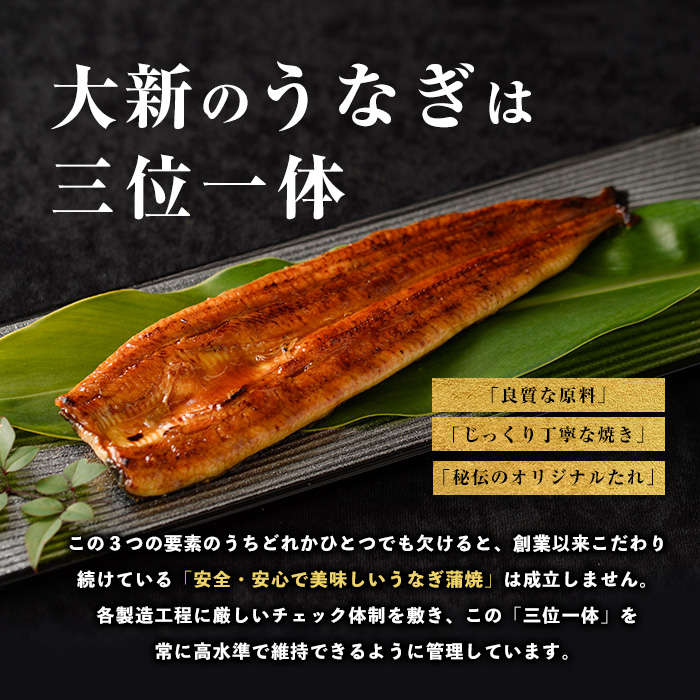 【鹿児島県産】うなぎ蒲焼じっくり焼き約250g×2尾 木目化粧箱入り(大新/020-1107)