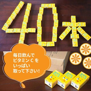 果汁100％紙パック みかんジュース 125ml×40本 【数量限定】_1521R
