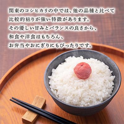 ふるさと納税 稲敷市 【令和7年産】稲敷産こしひかり10kg(5kg×2袋) |  | 02
