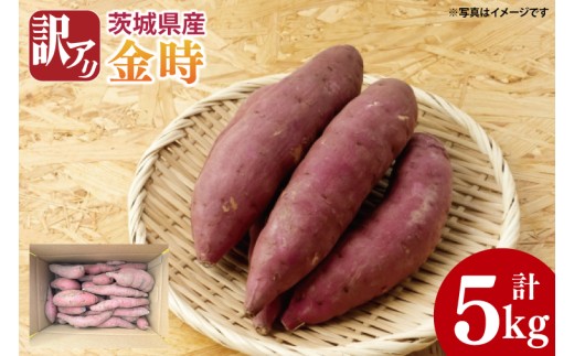 【先行予約】【10月中旬以降より順次発送】訳アリ 茨城県産金時 約5kg｜さつまいも 芋 サツマイモ 金時 訳あり わけあり 茨城県 取手市（AS010-1）