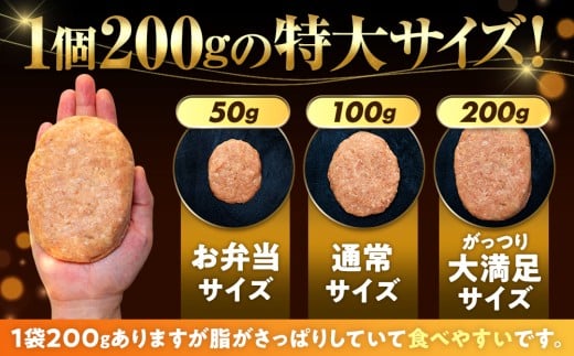 ハンバーグ 四万十ポーク 入り 3.6kg ( 200g × 18個 ) 冷凍 真空 小分け 個包装 肉汁 たっぷり 大容量 大きめ 合挽き 牛肉 豚肉 保存料 不使用 ビーフ ポーク 合いびき肉 挽