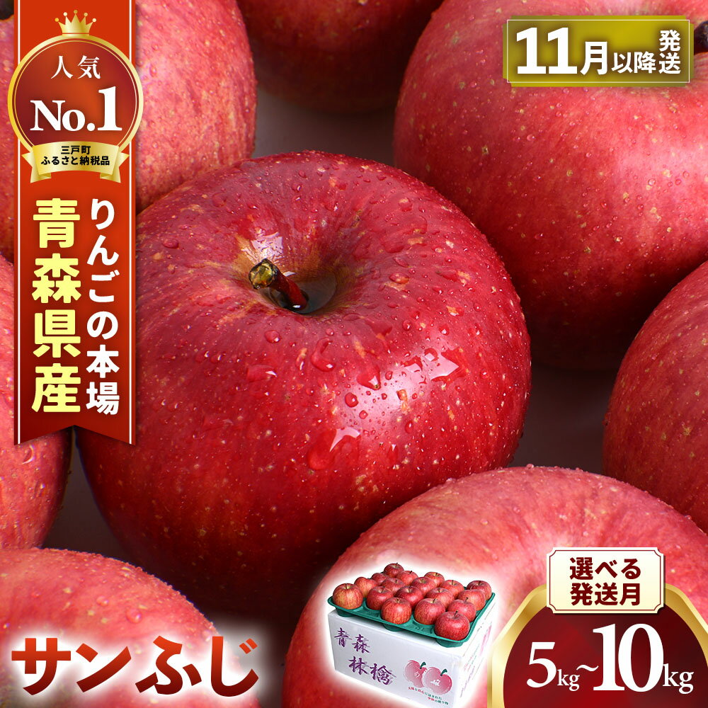 人気ナンバー1 りんご サンふじ 14〜20玉 約5kg(12月中旬以降発送分)