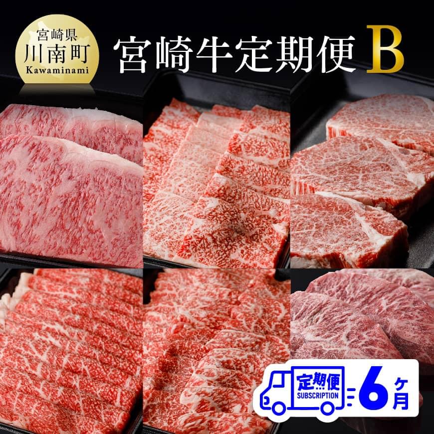 【6ヶ月定期便】 宮崎牛 定期便Ｂ 4大会連続日本一 肉 牛肉 国産 黒毛和牛 肉質等級4等級以上 4等級 5等級 ミヤチク ステーキ 焼肉 全6回 定期便