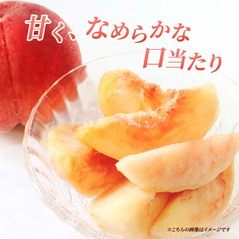 桃 先行予約 浅間水蜜桃 なつっこ 約5kg 秀品 13～22玉 贈答品 フルーツ 果物 白桃 甘い 冷蔵
