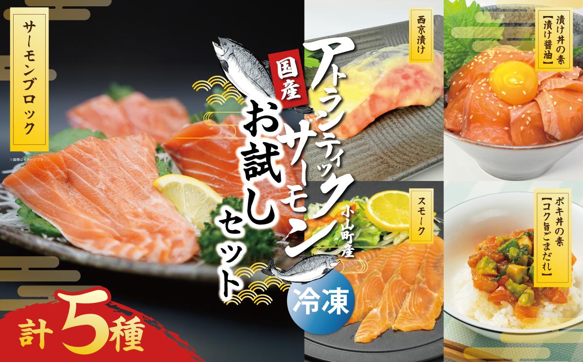 
                  小山町産アトランティックサーモン（冷凍）お試しセット（サーモンブロック有り） | サーモン 小分け 真空パック 海鮮 海鮮丼 ポキ丼 魚介 魚 西京漬け 味噌漬け みそ漬け 国産 鮭 しゃけ サケ 静岡県 小山町
                