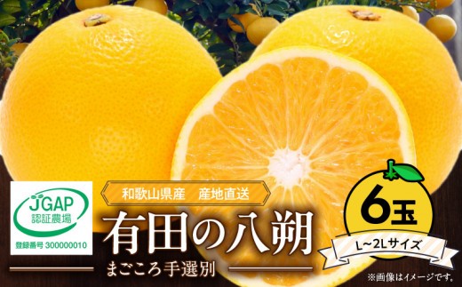 
                  【2027年先行予約】和歌山県産 有田の八朔 (はっさく) 6玉【L～2Lサイズ】まごころ手選別 _ZE6306n
                