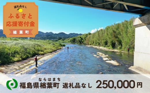【返礼品なしの寄附】福島県楢葉町 250,000円 ［福島県 福島 楢葉町 寄附 おうえん 応援 しえん 支援 応援寄付金 寄付のみ 返礼品なし 返礼品なしの寄付 250,000円］