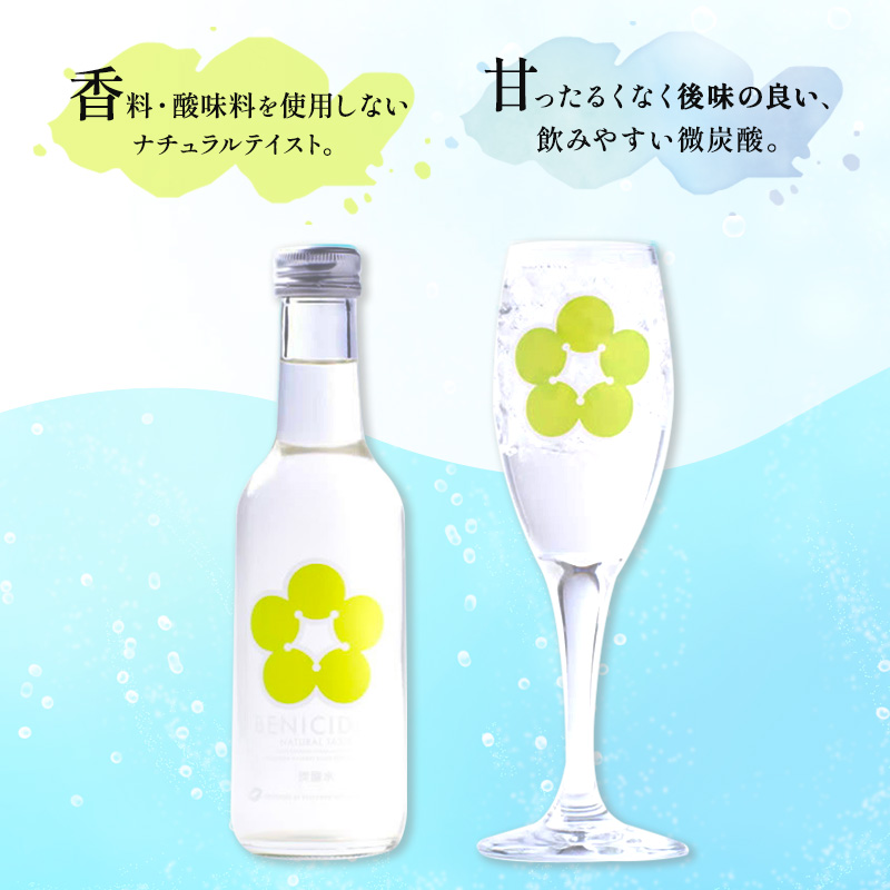 BENIサイダー（梅サイダー）24本セット 飲料類／炭酸飲料／サイダー うめ ウメ 