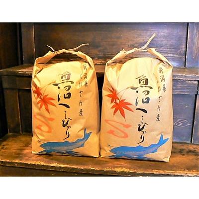 ふるさと納税 南魚沼市 令和7年産 《語り伝えられる地》南魚沼しおざわ産コシヒカリ10Kg(玄米)