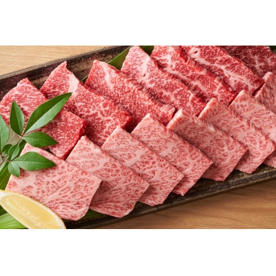 【A4～A5】博多和牛焼肉用　500g(筑後市)【配送不可地域：離島】