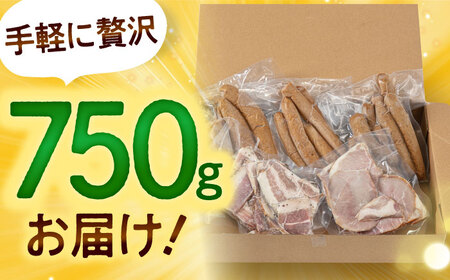 訳あり！ほまれハム・ソーセージ詰め合わせ 計750g（約150g×5パック） / ハム / 佐賀県 / 有限会社田嶋畜産 [41ATBP005]