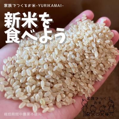 ふるさと納税 佐用町 パドロンペースト(120g)2ケ、 ユリカ米(1kg)セットお肉に野菜に何にでもあいます。 |  | 02
