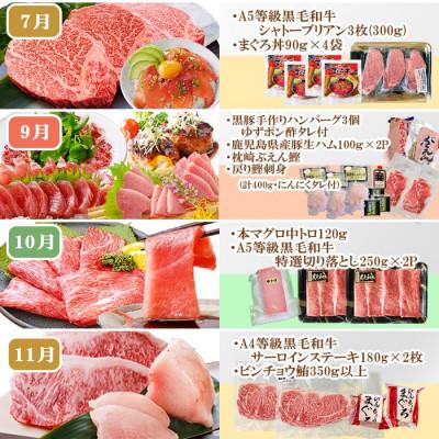 ふるさと納税 枕崎市 定期便(10回)枕崎お楽しみ便(黒毛和牛・黒豚・まぐろ・かつお・さつまあげ等)II-0025 |  | 03