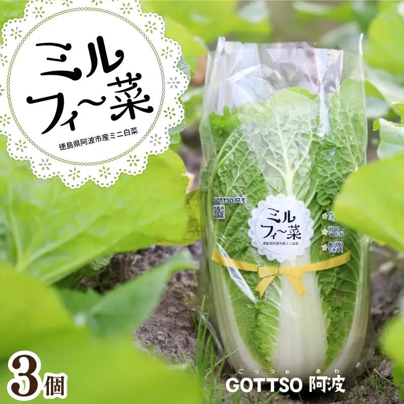ミニ白菜 ミルフィ～菜 3個 【 白菜 】