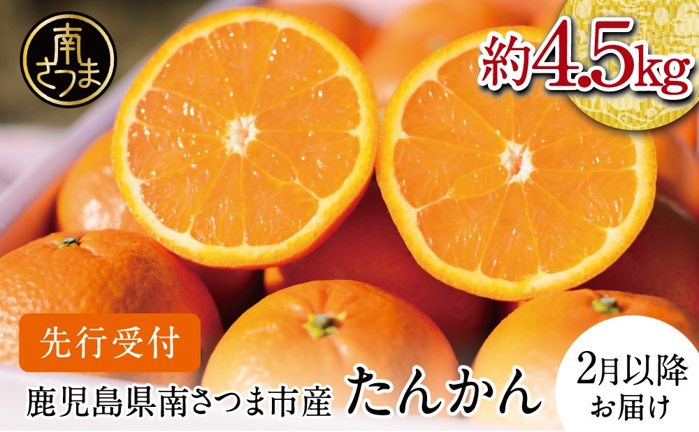 
                  【2027年2月中旬発送開始】たんかん 約4.5kg 果物 フルーツ 柑橘 みかん 鹿児島県産 ブランド かごしまブランド 南国 ミカン 旬 ジューシー 期間限定 先行受付 南さつま市 JA南さつま
                