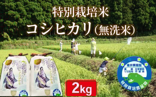 〈先行予約・令和６年度産〉越前産　特別栽培米　コシヒカリ　（無洗米）２㎏×2袋