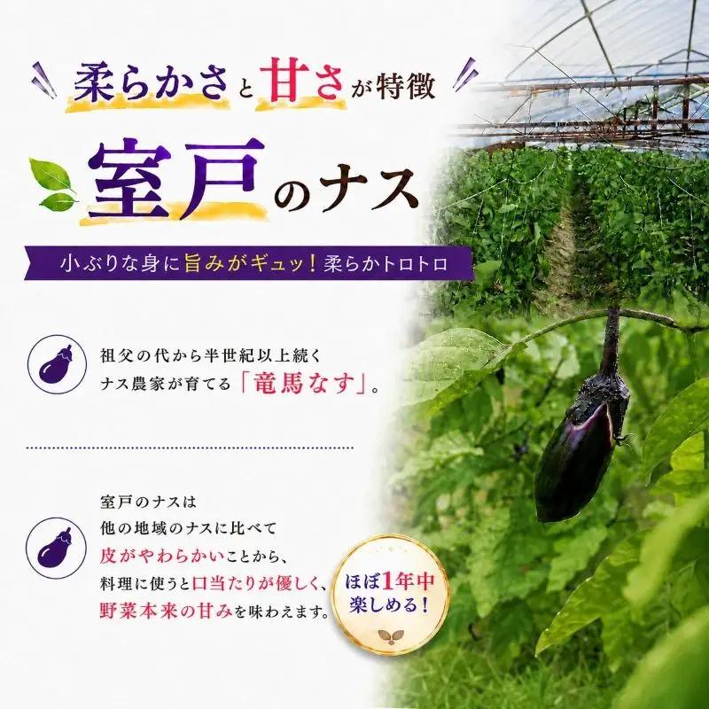 スピード発送【今が旬☆新鮮！朝どれナスをドドンと1kg ‼】期間限定 朝採れ 産地直送 おひさま農園 高知県 室戸市