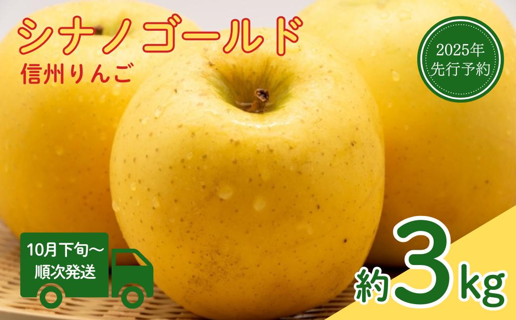 
            【2025年先行予約】りんご シナノゴールド(長野県オリジナル品種) 約3kg 林檎 リンゴ 千曲市 長野県産 信州
          