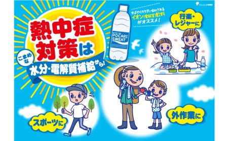 ポカリスエット 500ml×24本 イオンウォーター900ml×12本セット 大塚製薬 ぽかり[FBD021]