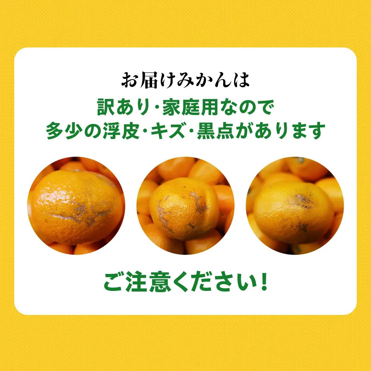 【先行受付】【訳あり】西宇和みかん小玉5kg(小玉3S～Sサイズ込み)【C21-46】YWTBC027