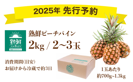 ２０２５年発送予約【桃のような甘い香り】沖縄　西表島　熟鮮ピーチパイン2㎏（2～3玉）