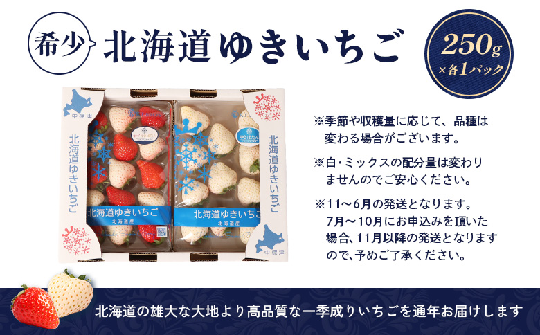 【北海道産】ゆきいちご（ゆきぼたん/紅ほっぺ）白×ＭＩＸ 2Ｐセット 各250g×2【59002】