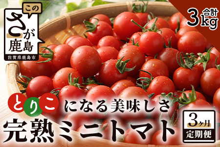 【先行予約】 完熟ミニトマト『Ricotomato』 【1kg×3回定期便】 【2024年12月から出荷】 E-68