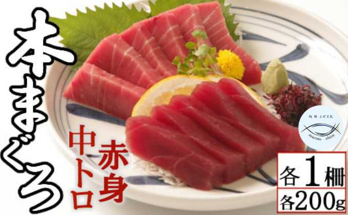 
天然本マグロ　中トロ・赤身　各１柵　（計４００ｇ）
