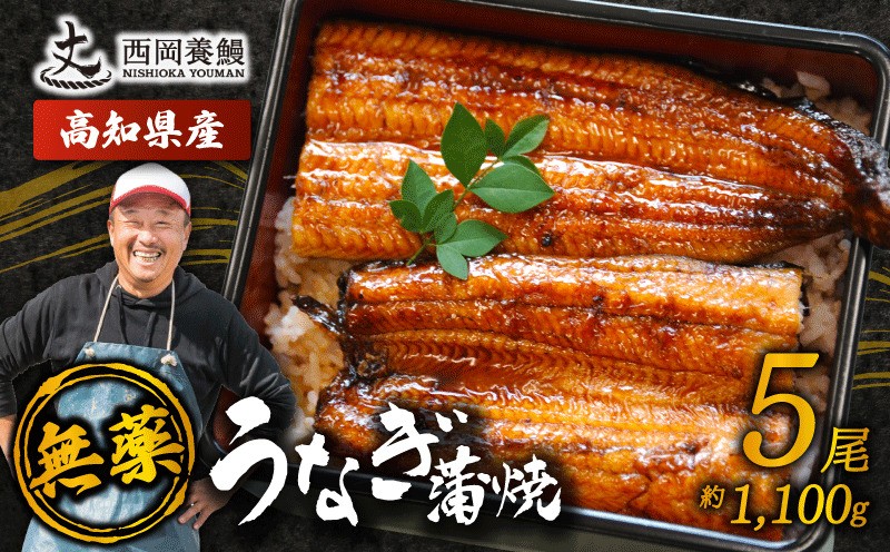 
                  国産 うなぎ 蒲焼 5尾 約1.1kg▼ 国産 うなぎ 鰻 ウナギ 蒲焼 うなぎ 蒲焼き うなぎ タレ 山椒 付き うなぎ ウナギ 鰻 冷凍 鰻 うなぎ ウナギ 鰻 人気 ウナギ うなぎ おすすめ うなぎ おいしい unagi うなぎ かばやき うなぎ 高級 特別 贅沢 うなぎ ウナギ 鰻 ひつまぶし うなぎ ウナギ 夏 鰻 高知県安芸市/西岡養鰻 [CJ008]
                