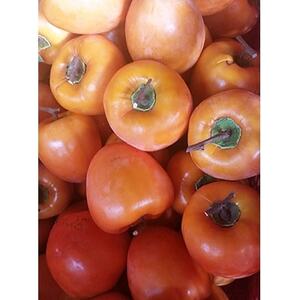 【甲州銘菓数量限定】手作り甲州百目枯露柿12～20個2号化粧箱入り【配送不可地域：離島】【1178155】