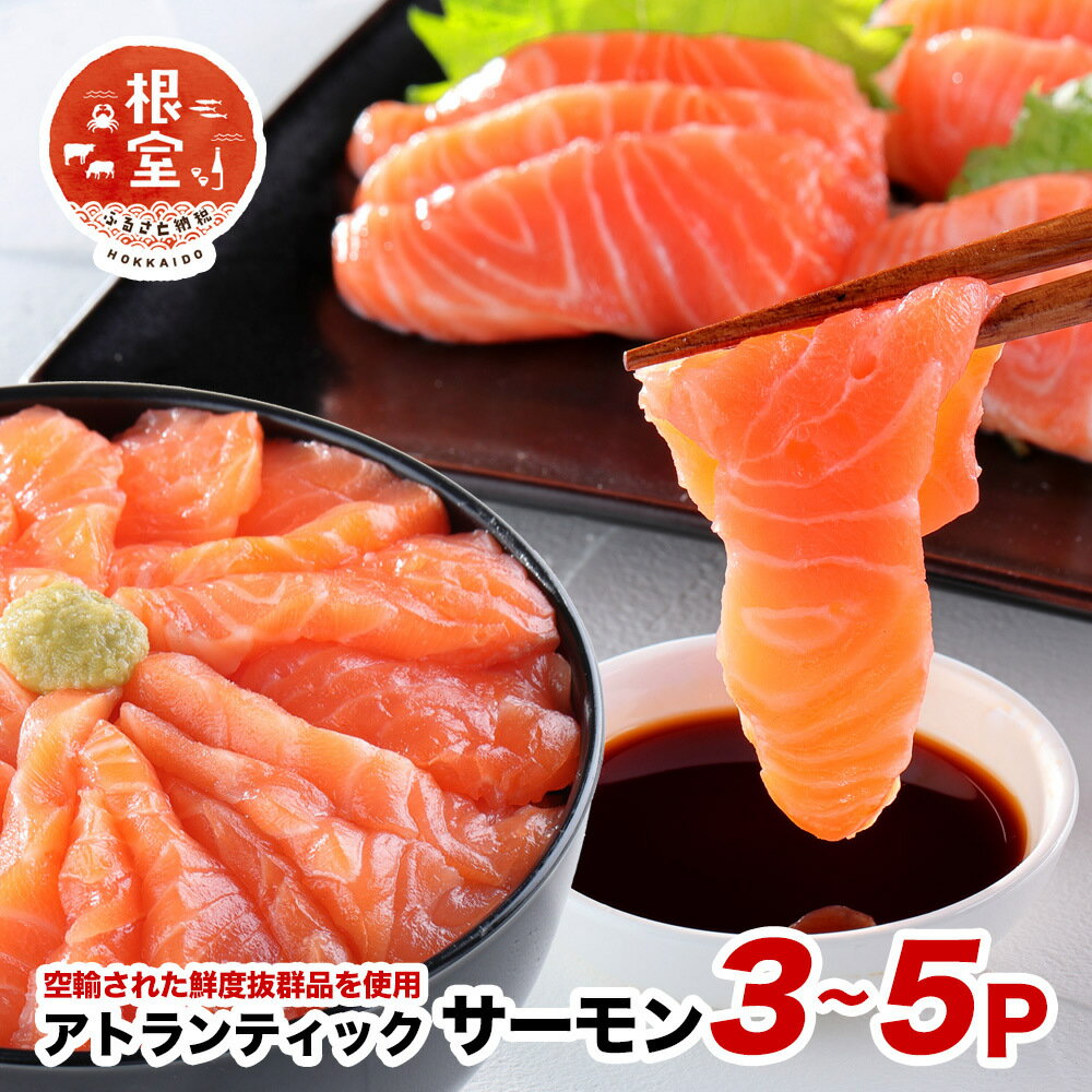 【ふるさと納税】 [生食可]アトランティックサーモン3〜5P(計800g〜900g前後） A-24020