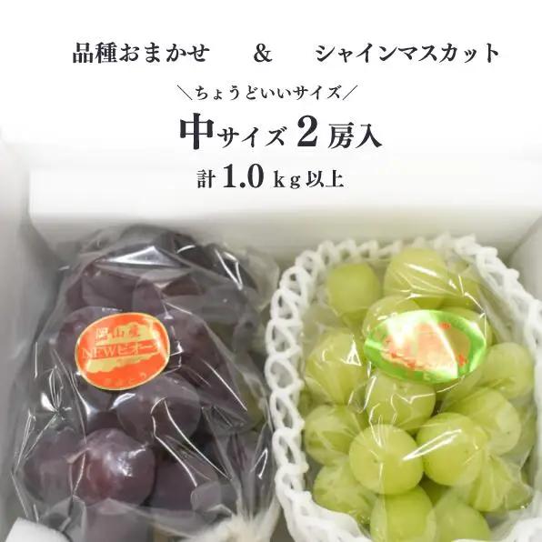 シャインマスカット 岡山県産シャインマスカット＆生産者いちおしぶどう2房入計1.0kg～ 【KF-B010-04】