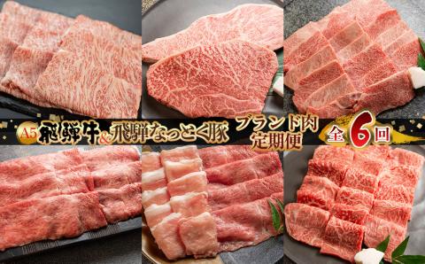 【定期便6回】 飛騨牛＆なっとく豚 ブランド肉 定期便 6回 牛肉 豚肉 (ステーキ / すき焼き / しゃぶしゃぶ / 焼き肉) カルビ イチボ お楽しみ 下呂温泉 おすすめ ブランド【tc2】