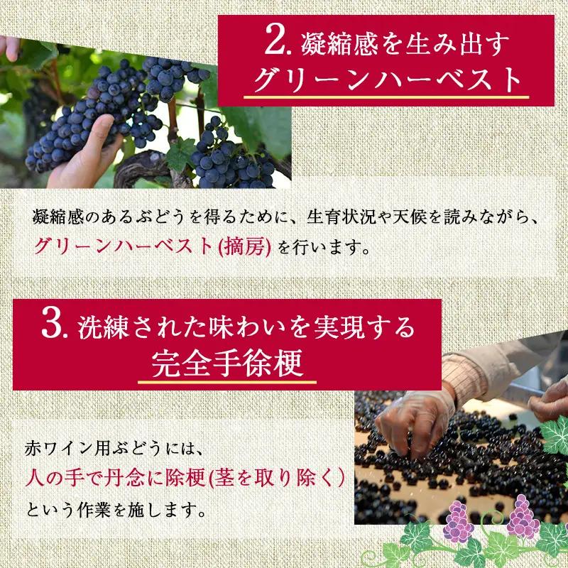 赤ワイン 信州ワイン ソラリス千曲川 メルロー 赤ワイン