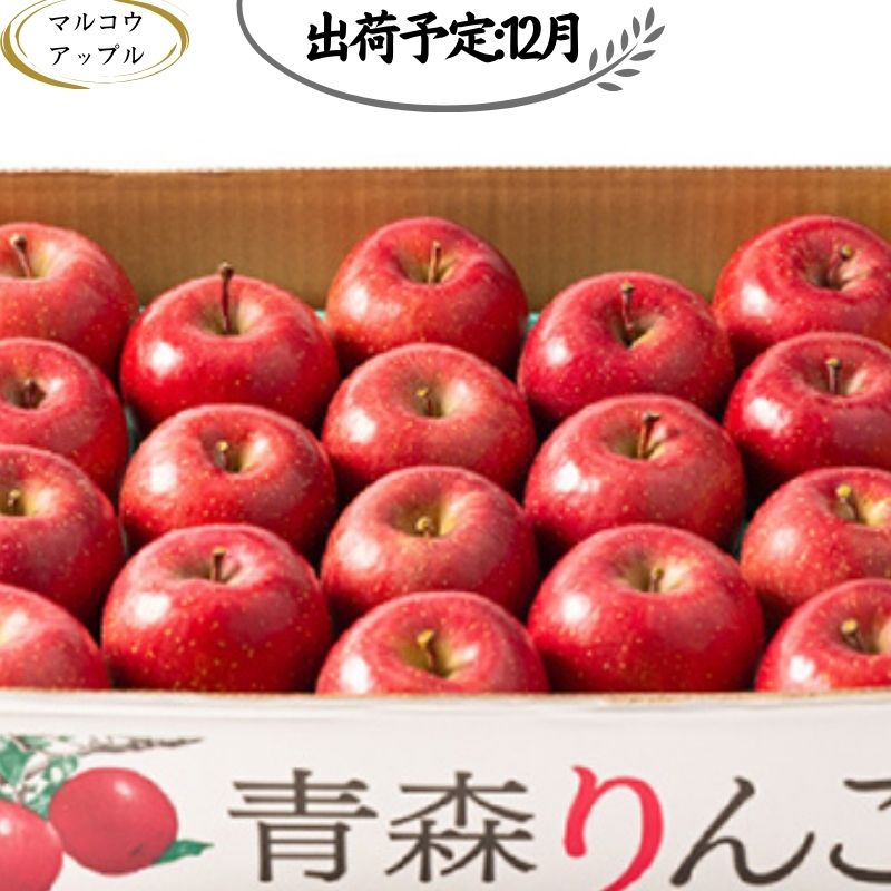 【ふるさと納税】【12月発送】 特A 濃厚サンふじ約5kg　糖度13度以上【青森りんご・マルコウアップル】 　お届け：2025年12月1日～2025年12月30日
