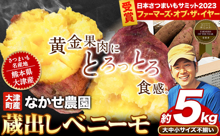 熊本県大津町産 なかせ農園のベニーモ 約5kg(大中小サイズ不揃い)《3-7営業日以内に順次出荷(土日祝除く)》 さつまいも 芋 秋の味覚 紅はるか 特産品