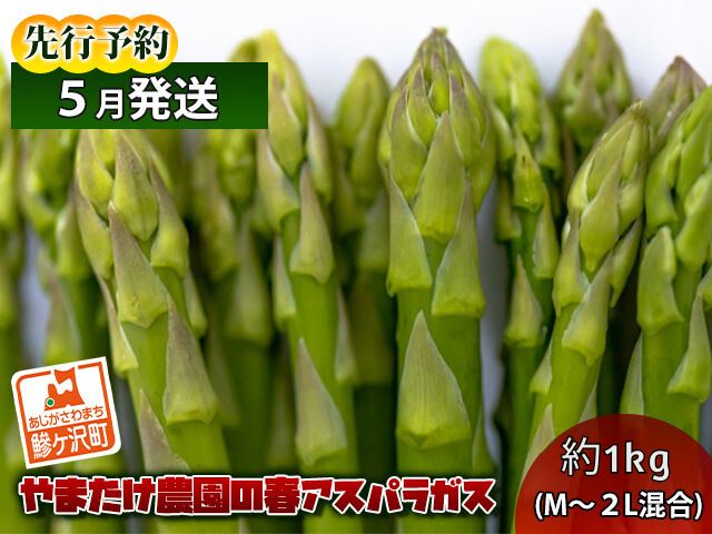 アスパラガス 先行予約 春アスパラガス 約1kg M～2L 混合 やまたけ農園 アスパラ グリーンアスパラ 野菜 春野菜 春 旬 旬の野菜 朝どれ 産地直送 2025年 2025 先行 予約 青森 冷蔵 冷蔵配送 5月6月発送