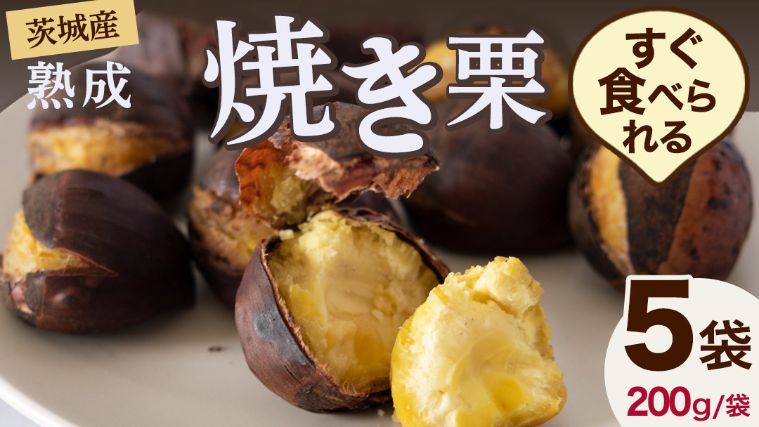 【 吉原農場 の 完熟栗 】 熟成 焼き栗 ５袋 令和7年産 完熟 栗 くり クリ 栗ごはん 贈答 ギフト 果物 フルーツ 数量限定 旬 秋 冬 正月 おせち [CX001ci]